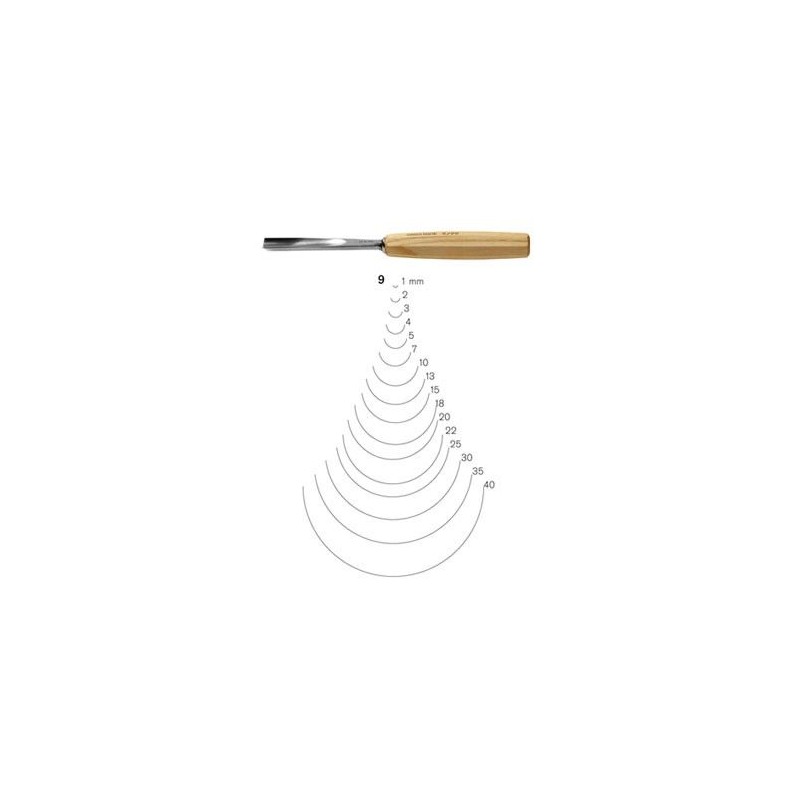 Gubia Pfeil cañon perfil 9