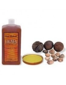 Sinensis camelia oil